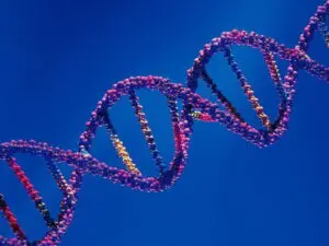 Read more about the article Oamenii de știință au găsit primele instrucțiuni ale ADN-ului uman care îi determina pe unii oameni să fie stângaci